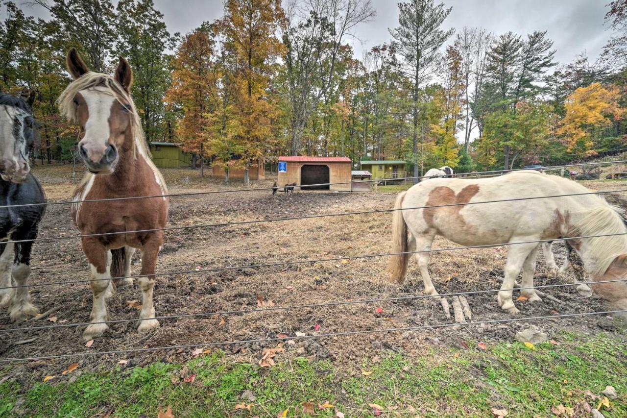 John Wayne Apartment - Deck, Bbq, Horses On-Site Huntingdon Exterior foto