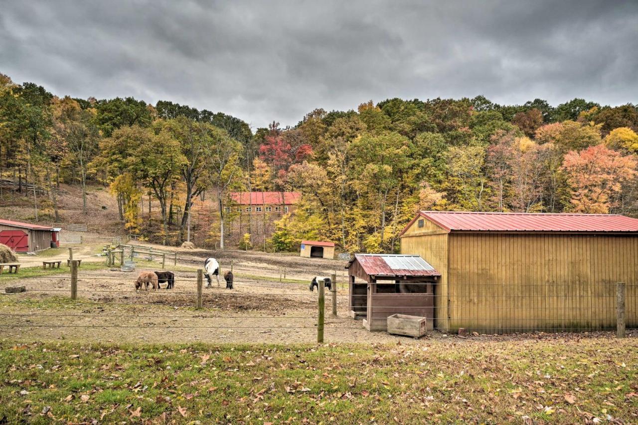 John Wayne Apartment - Deck, Bbq, Horses On-Site Huntingdon Exterior foto